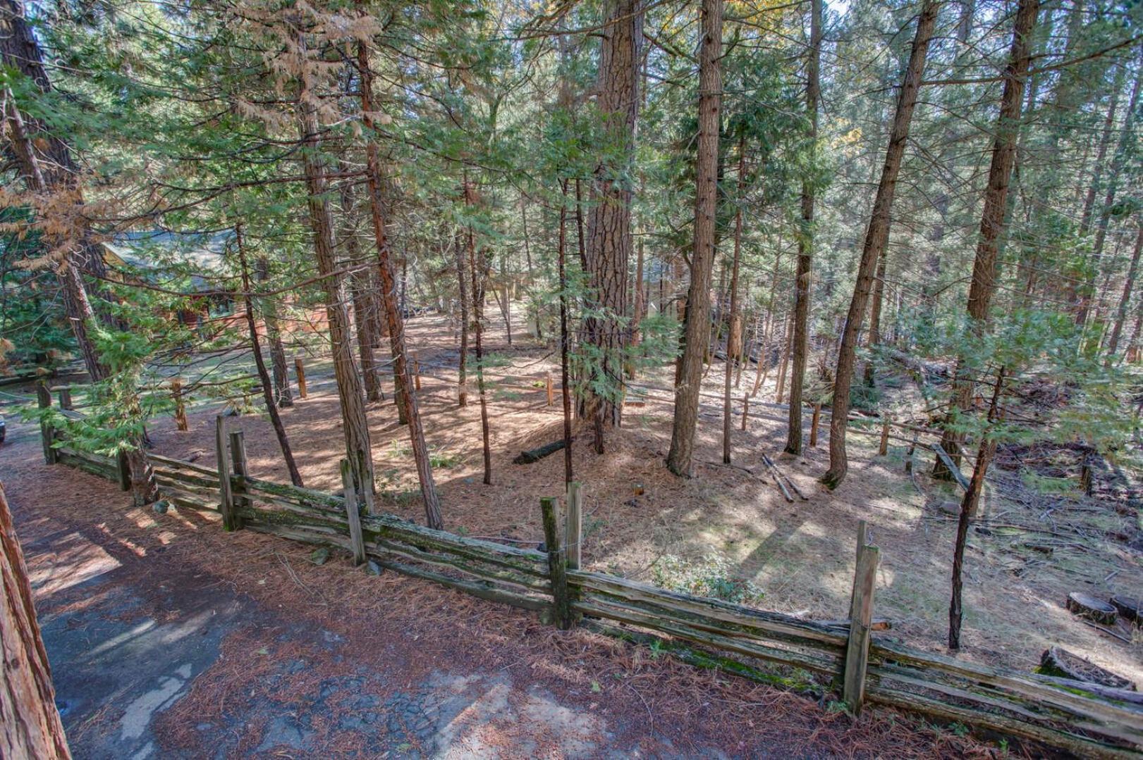 Little In The Woods * Wawona